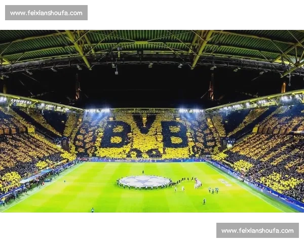 最佳欧冠直播平台推荐：在线观看实时比赛，精彩赛事尽收眼底